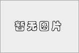 专题报道