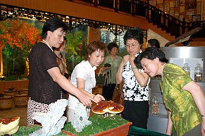千亿球友会 千亿球友会