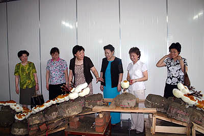 千亿球友会 千亿球友会
